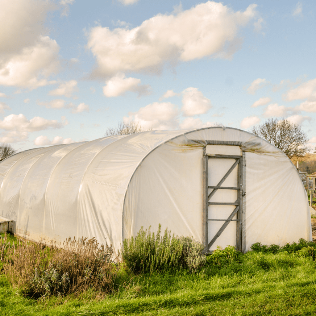 Image illustrating self-sufficiency with a greenhouse.