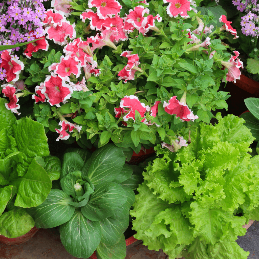 Image illustrates a foodscape garden.