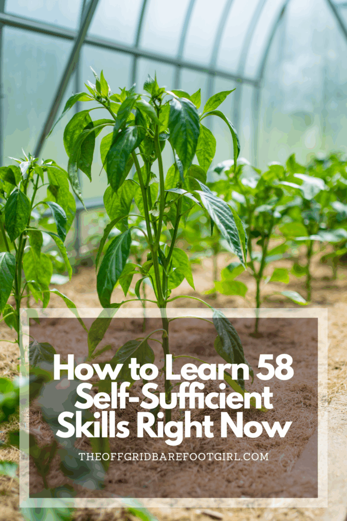 Image illustrates a Pinterest pin of self-sufficient skills.