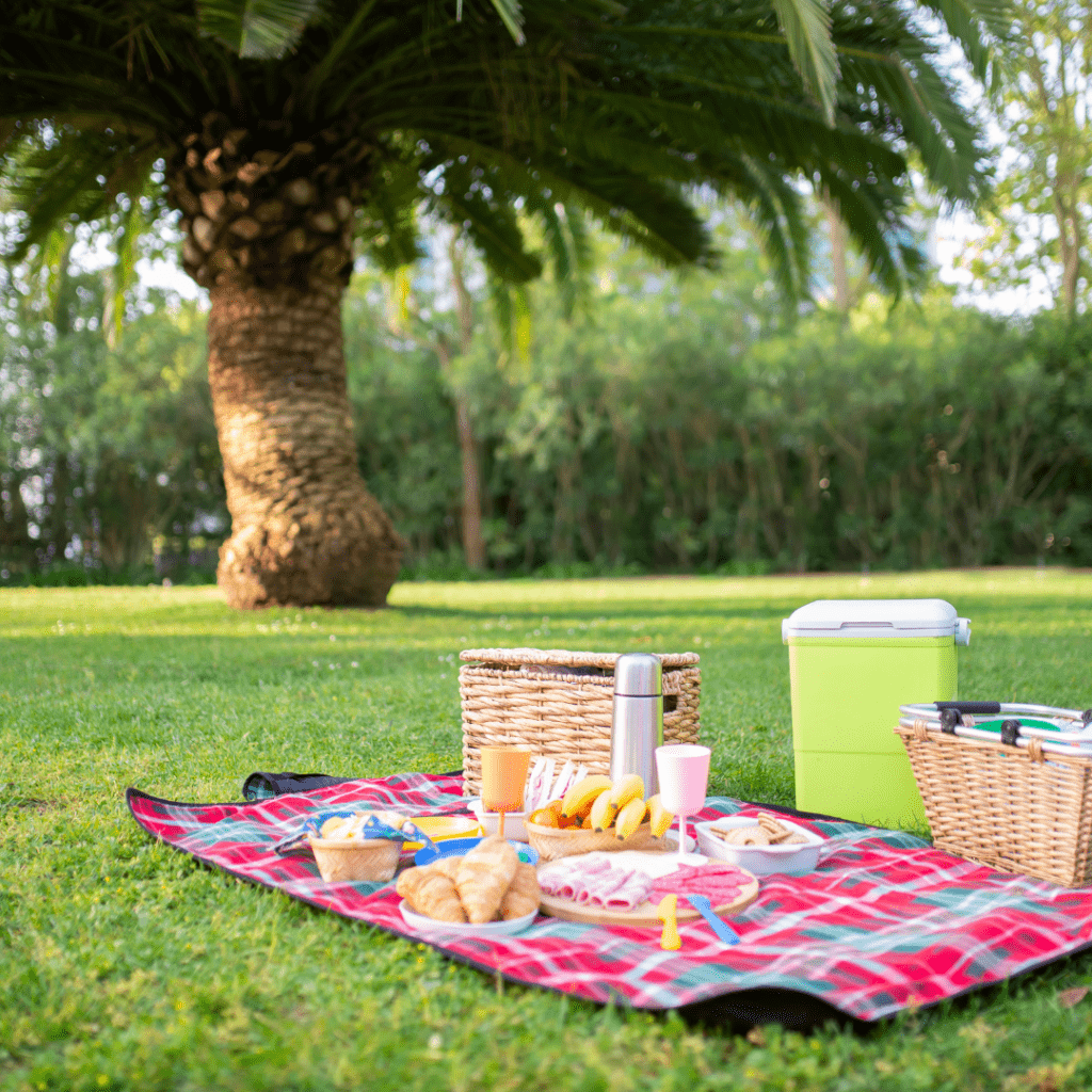 Image illustrates free summer boredom busters for kids like picnics. 