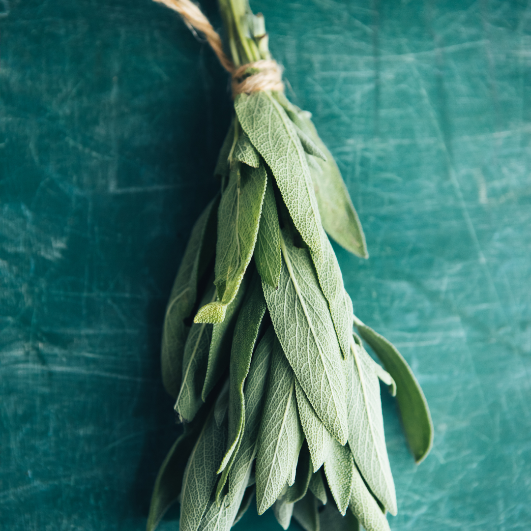 Powerful Health Benefits of Sage and Its Effects