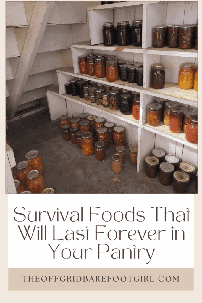 Image illustrates a Pinterest pin of foods that last forever.