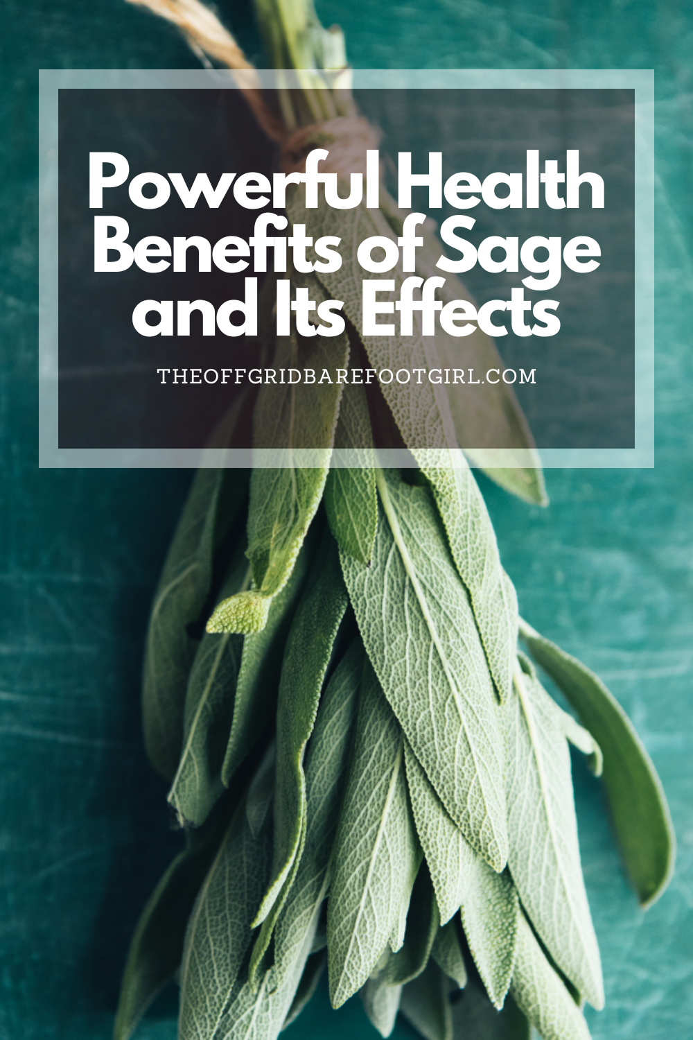 Image illustrates a Pinterest pin of sage demonstrating the health benefits of sage.
