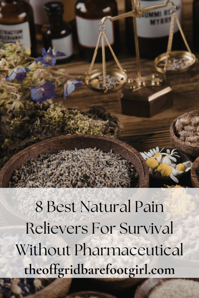Image illustrates natural pain relievers.