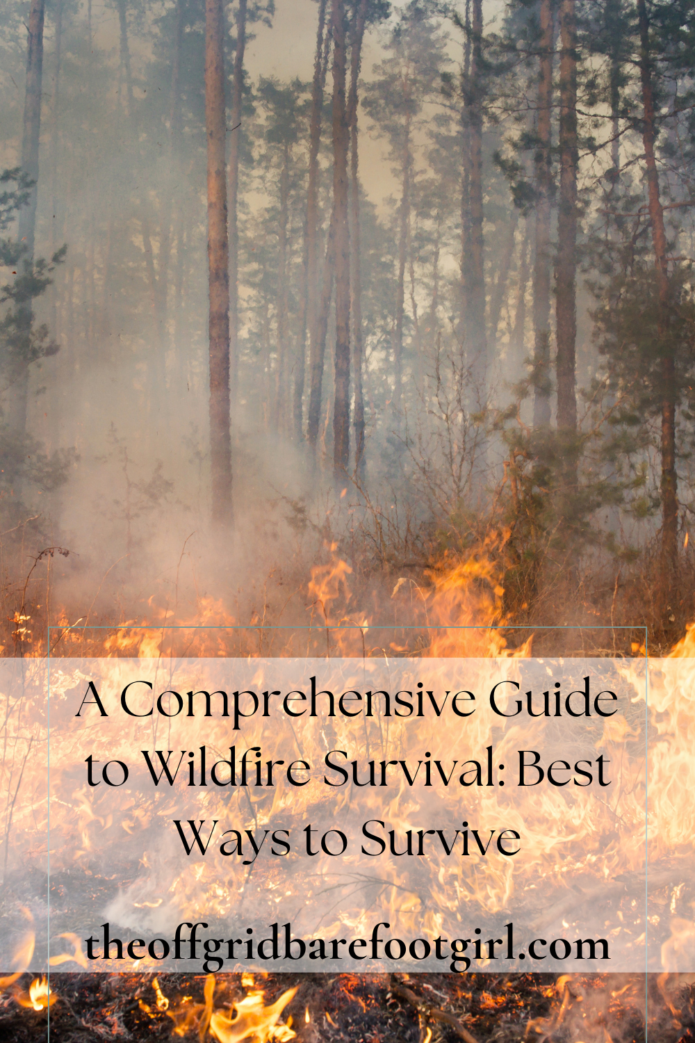 Image illustrates a Pinterest pin demonstrating wildfire survival. 