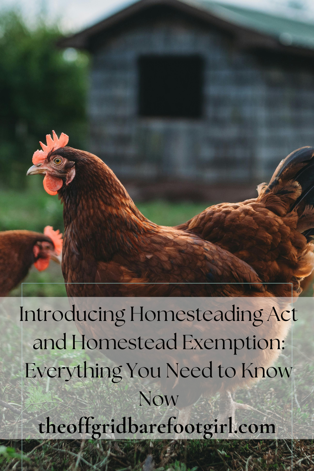 Image illustrates a Pinterest pin for the Homesteading Act and Homestead Exemption Guide.