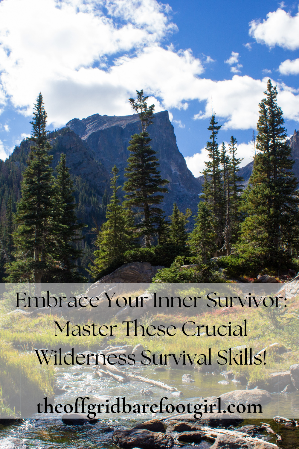 Image illustrates a Pinterest pin for wilderness survival skills.