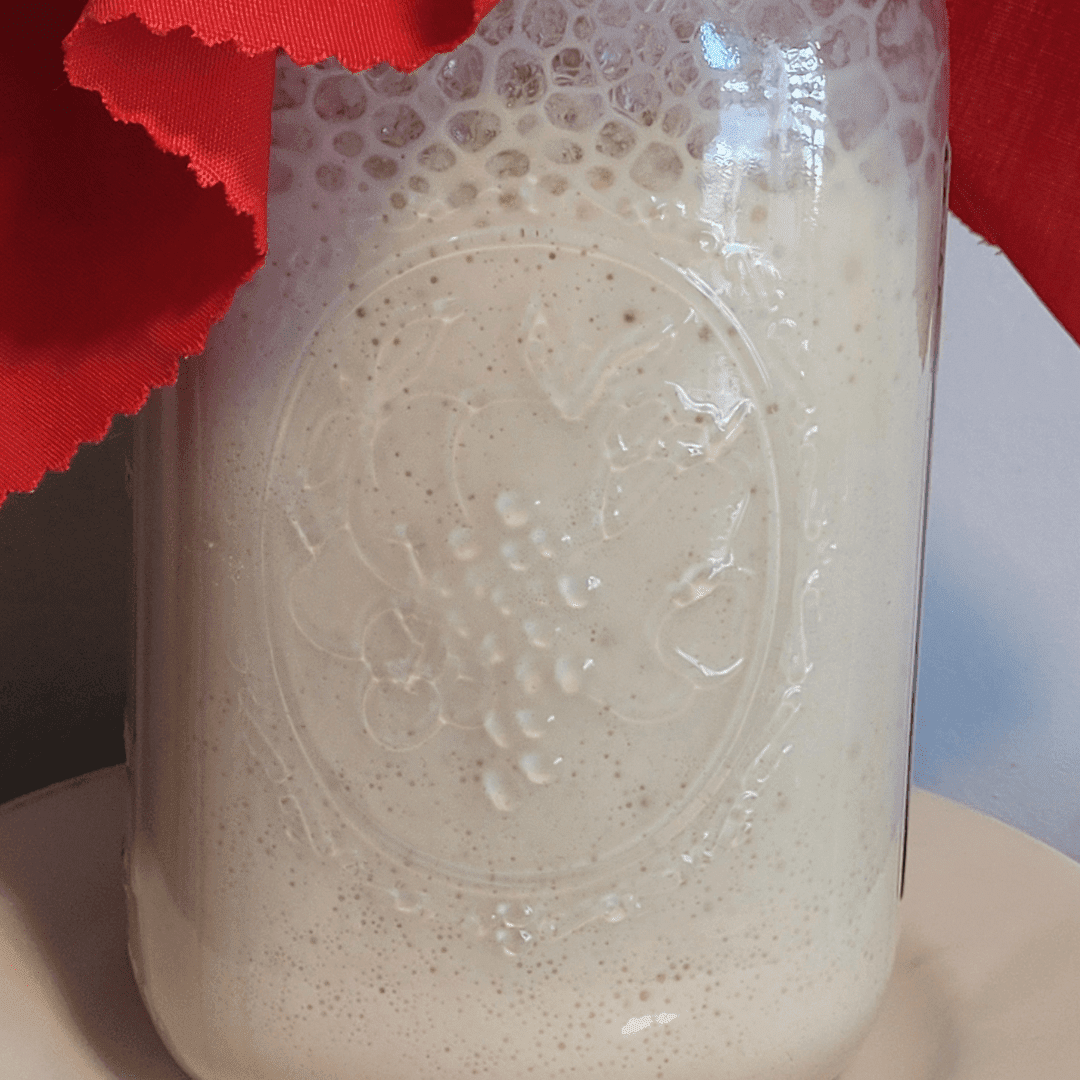 Image illustrates wild sourdough starter.