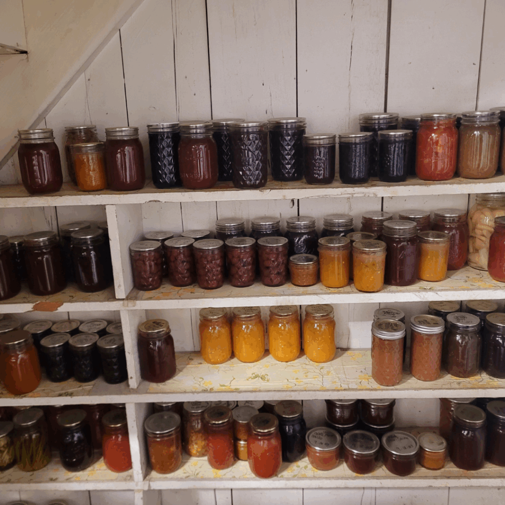 Image illustrates a pantry for a practical pantry prepper.