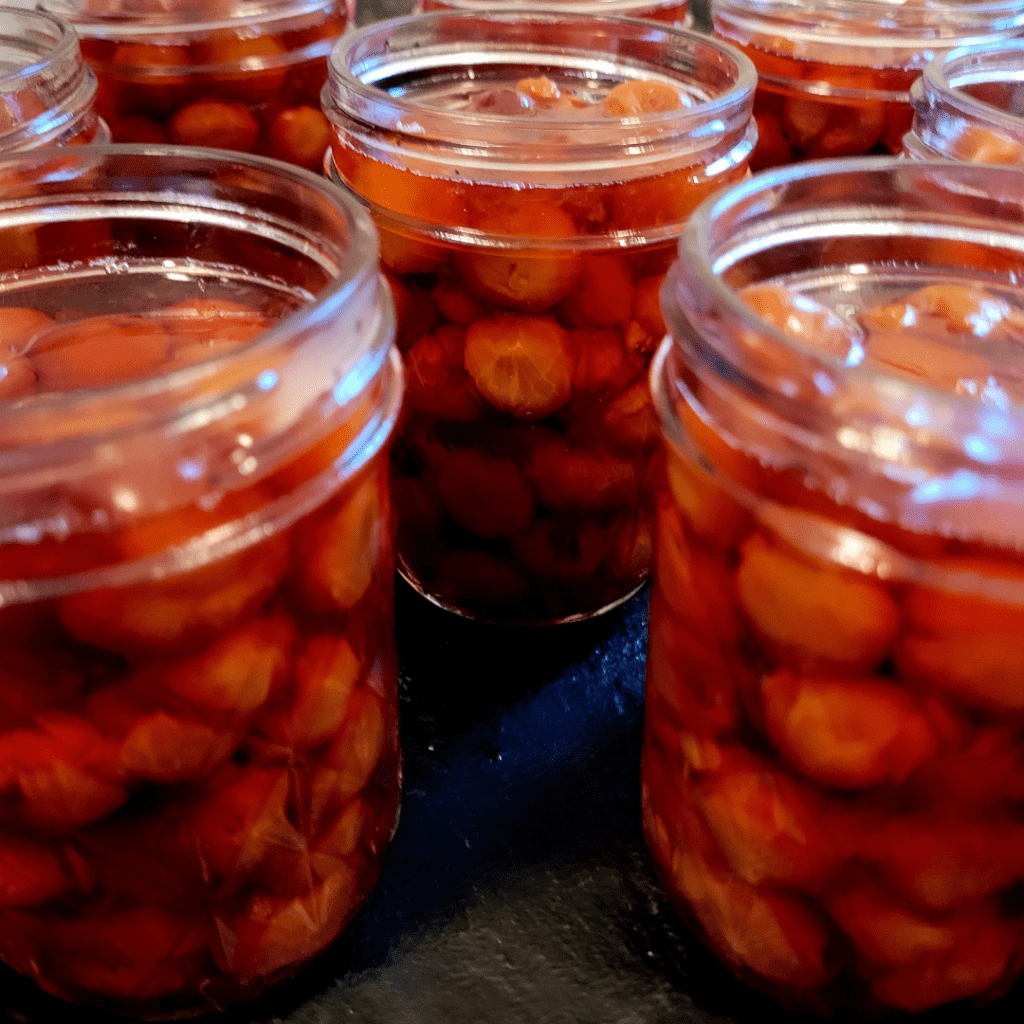 Image illustrates Mason jars filled with cherries for canning whole cherries.