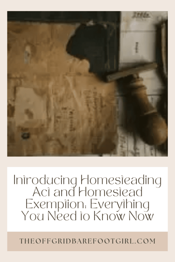 Image illustrates a Pinterest pin for the Homesteading Act and Homestead Exemption Guide.