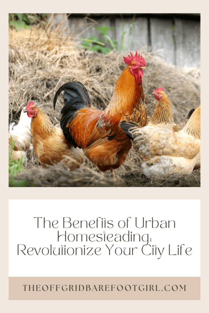 Image illustrates a Pinterest pin for backyard chickens demonstrating the benefits of urban homesteading. 