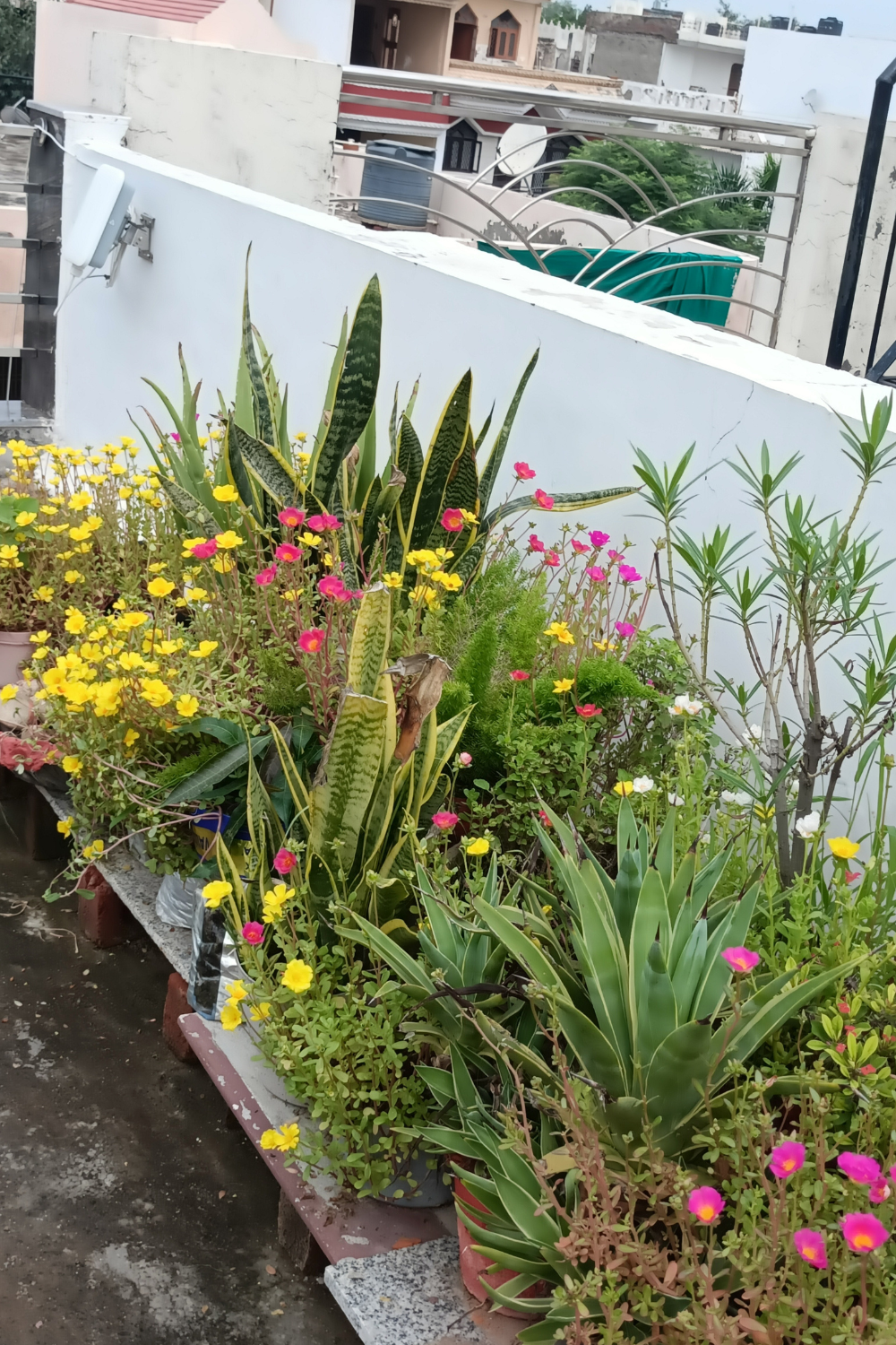 Image illustrates urban homesteading.