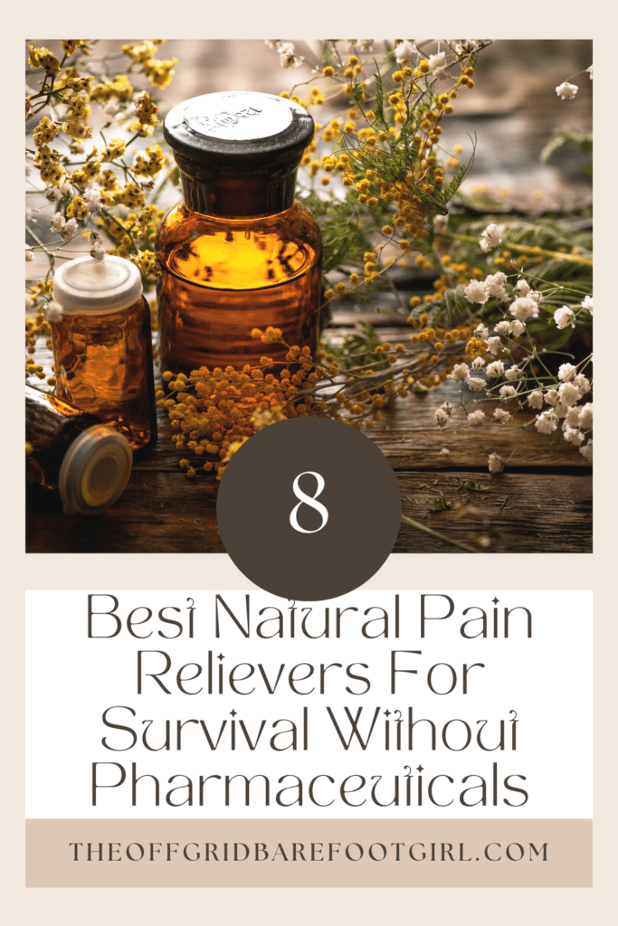Image illustrates a Pinterest pin demonstrating herbal pain relievers.  