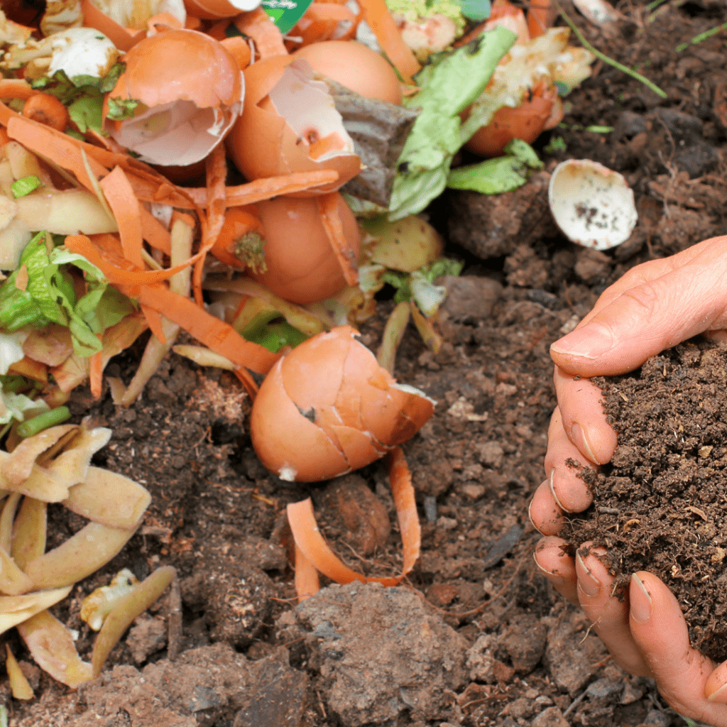 Image illustrates a compost pile demonstrating composting in your suburban backyard. 