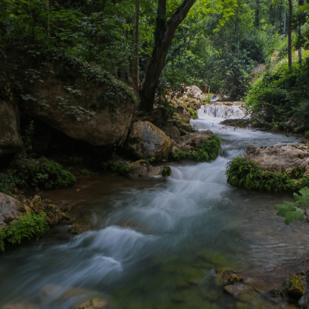 Image illustrates a river for wilderness survival skills.