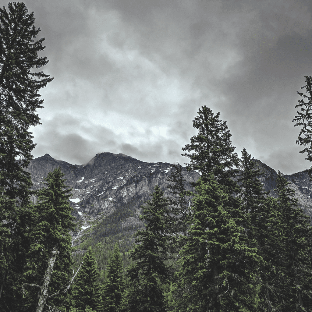 Image illustrates a wilderness landscape for wilderness survival skills.