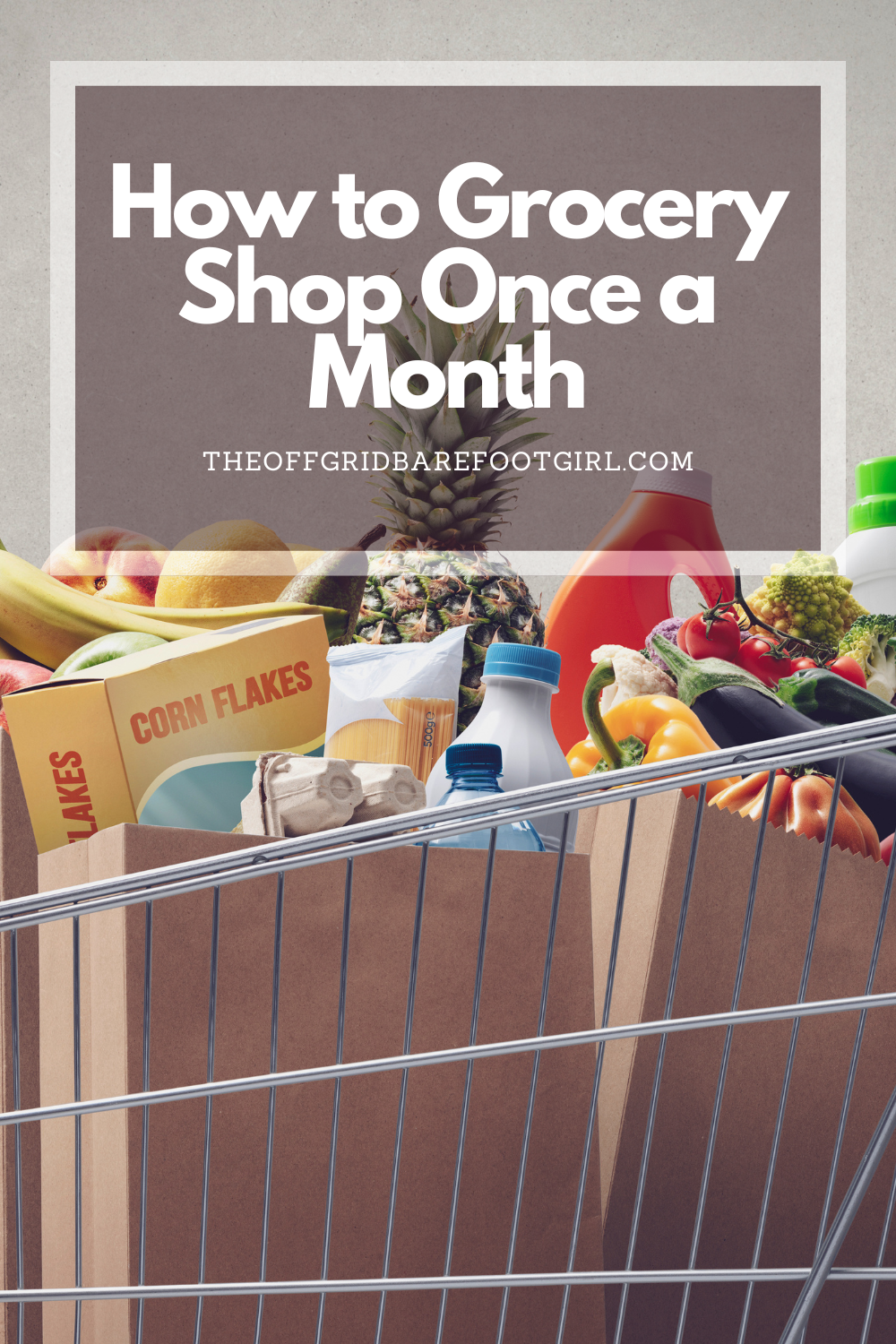 Image illustrates a Pinterest pin of a grocery cart for how to grocery shop once a month.