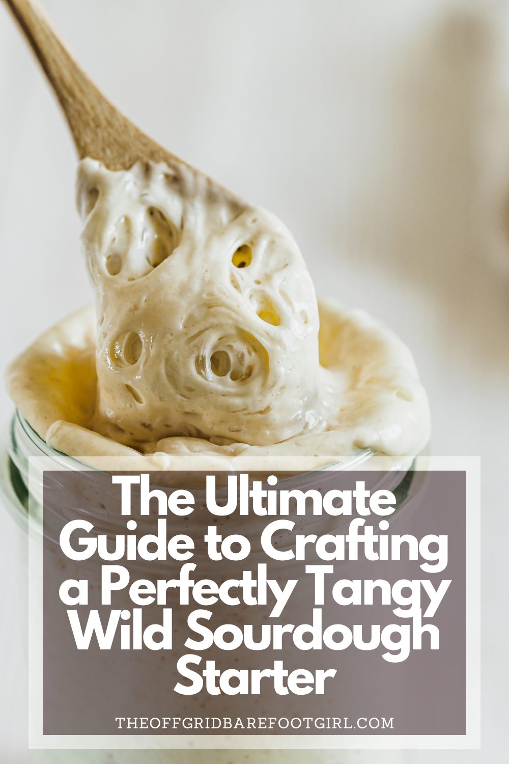 Image illustrates a Pinterest pin for wild yeast recipe sourdough starter.