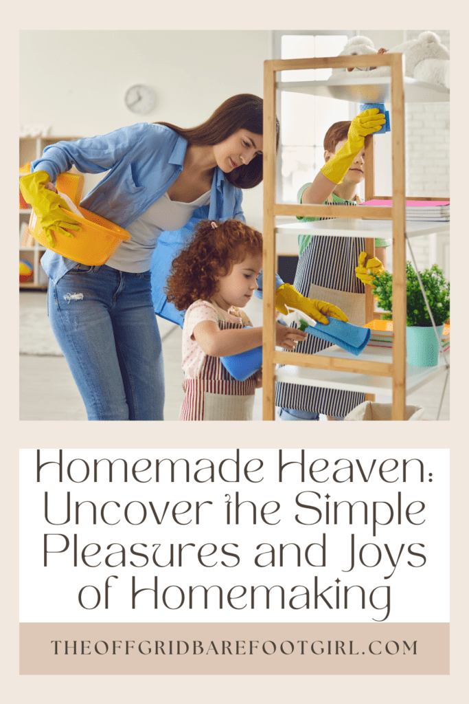 Image illustrates a Pinterest pin for homemakers cleaning demonstrating the pleasures and joys of homemaking. 