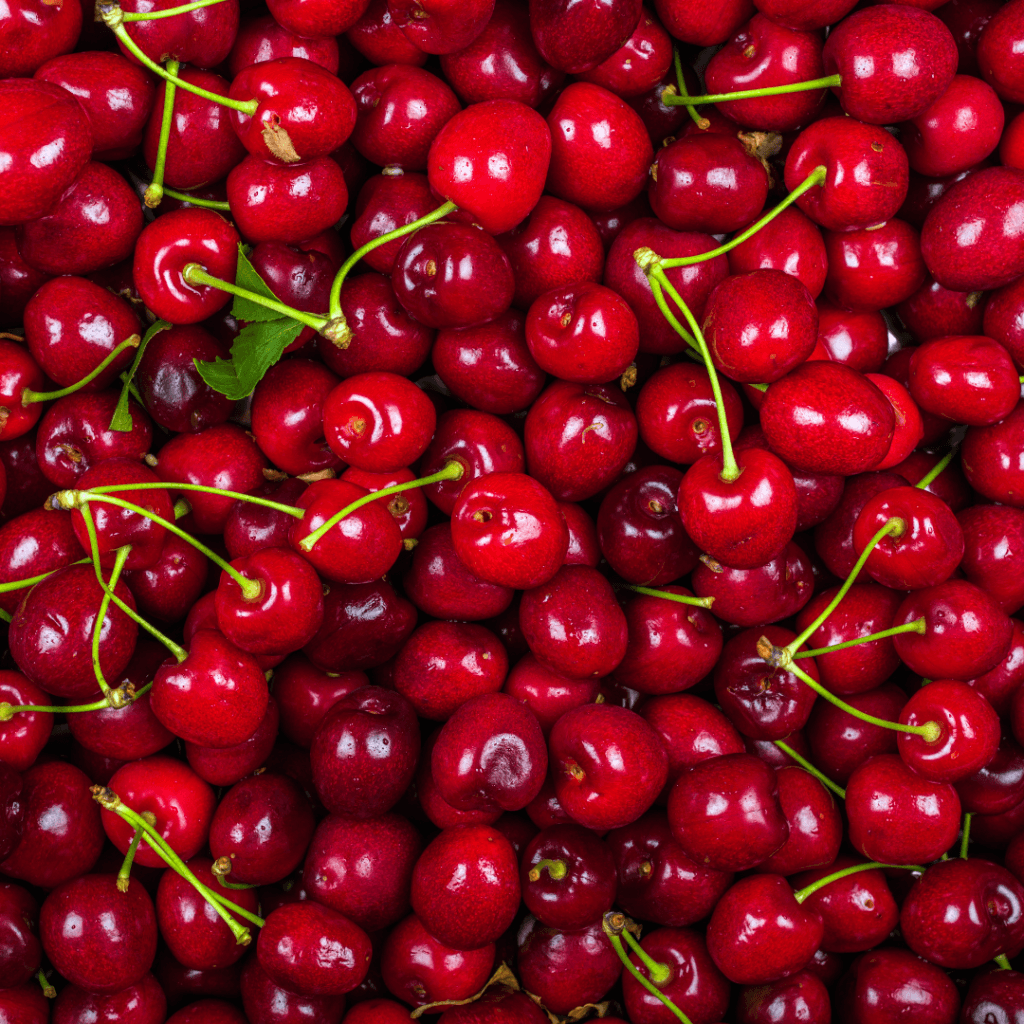 Image illustrates cherries for canning