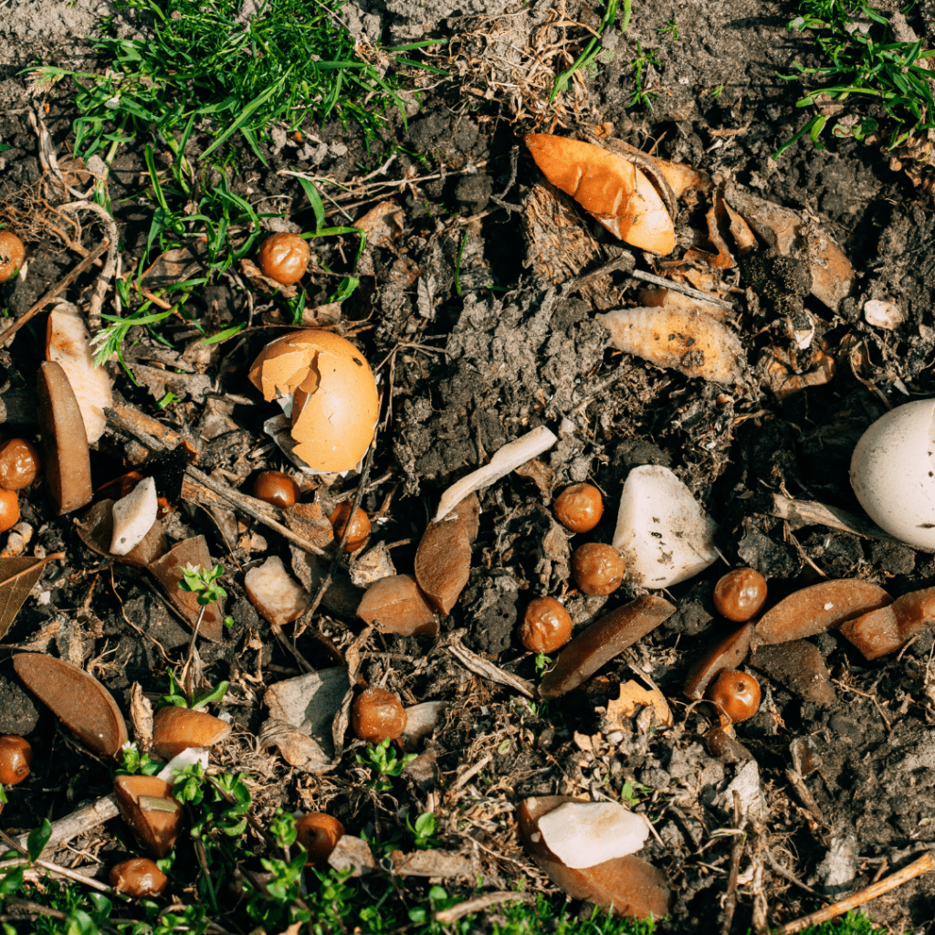 Image illustrates a compost pile demonstrating composting in your suburban backyard. 