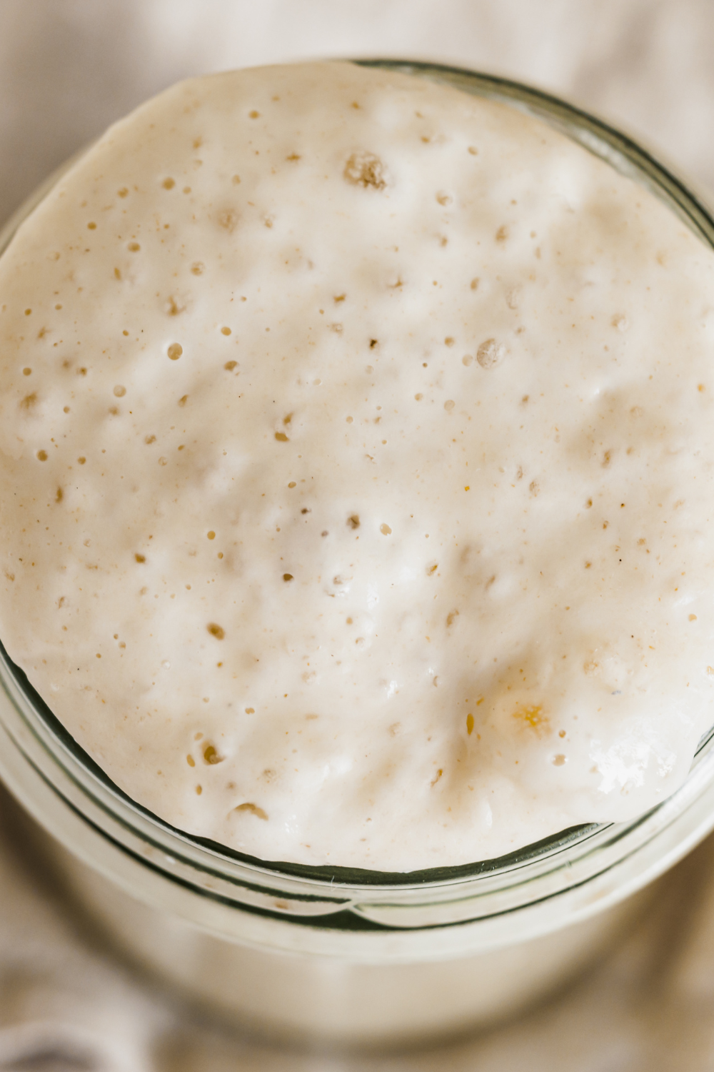 Image illustrates wild yeast recipe sourdough starter.