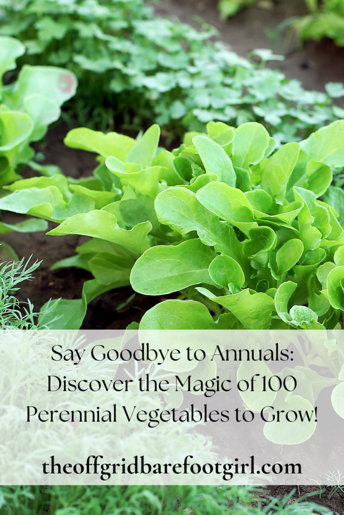 Image illustrates a Pinterest pin for beets for 100 perennial vegetables to grow. 