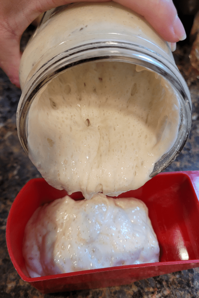 Image illustrates sourdough starter.