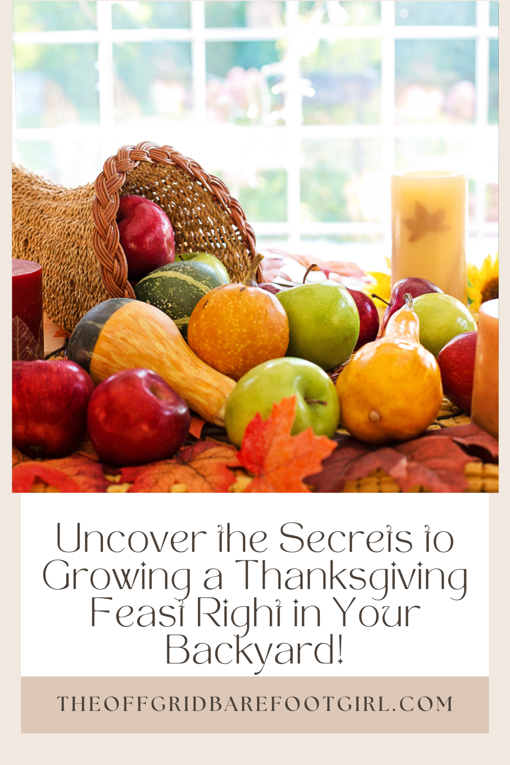 Image illustrates a Pinterest pin of produce for growing a Thanksgiving feast.