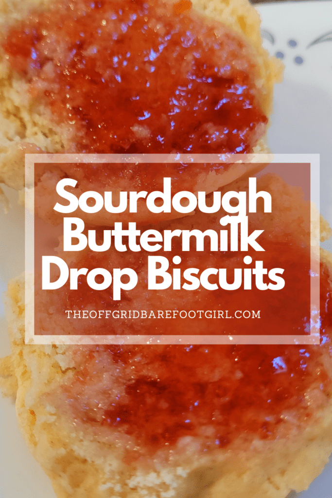 Image illustrates biscuits on a plate for breakfast.