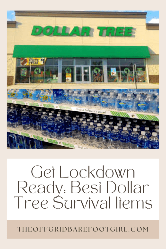 Image illustrates a Pinterest pin for Dollar Tree survival items.