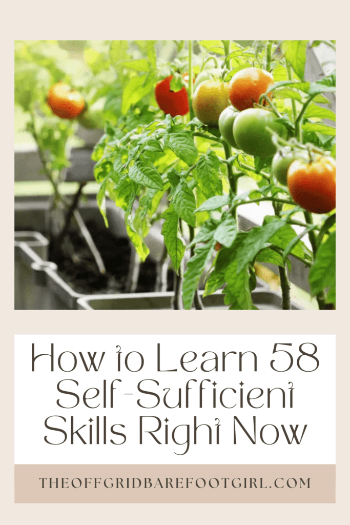 Image illustrates a Pinterest pin of self-sufficiency skills.