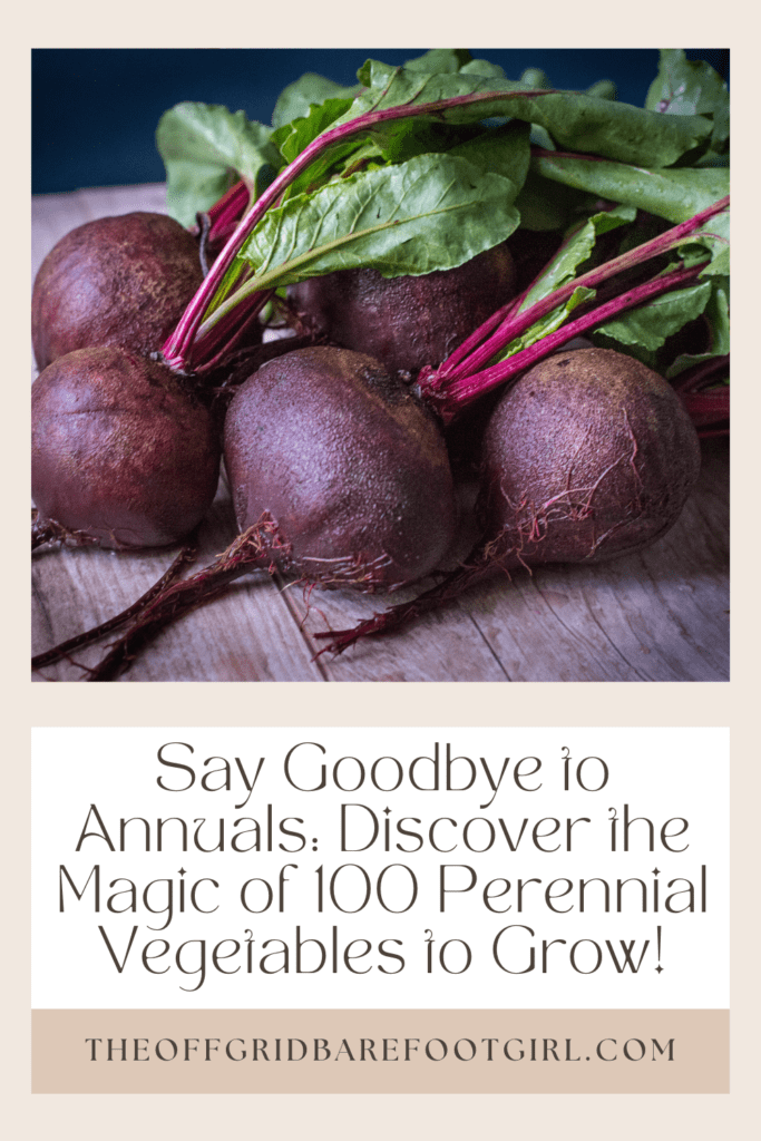 Image illustrates a Pinterest pin for beets for 100 perennial vegetables to grow. 