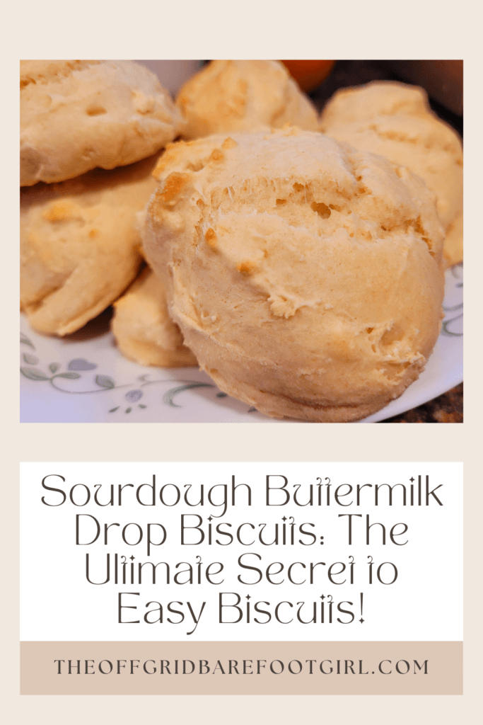 Image illustrates a Pinterest pin for a plate of biscuits for a sourdough buttermilk drop biscuits recipe tutorial.