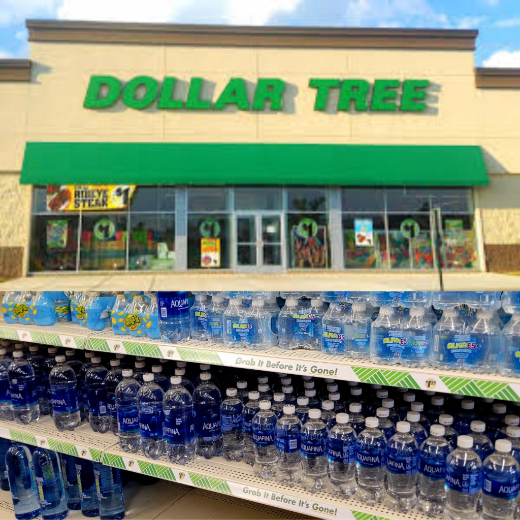 Image illustrates Dollar Tree survival items.
