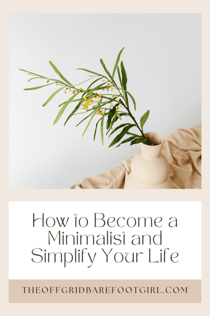 Image illustrates a Pinterest pin demonstrating tips for how to become a minamalist.