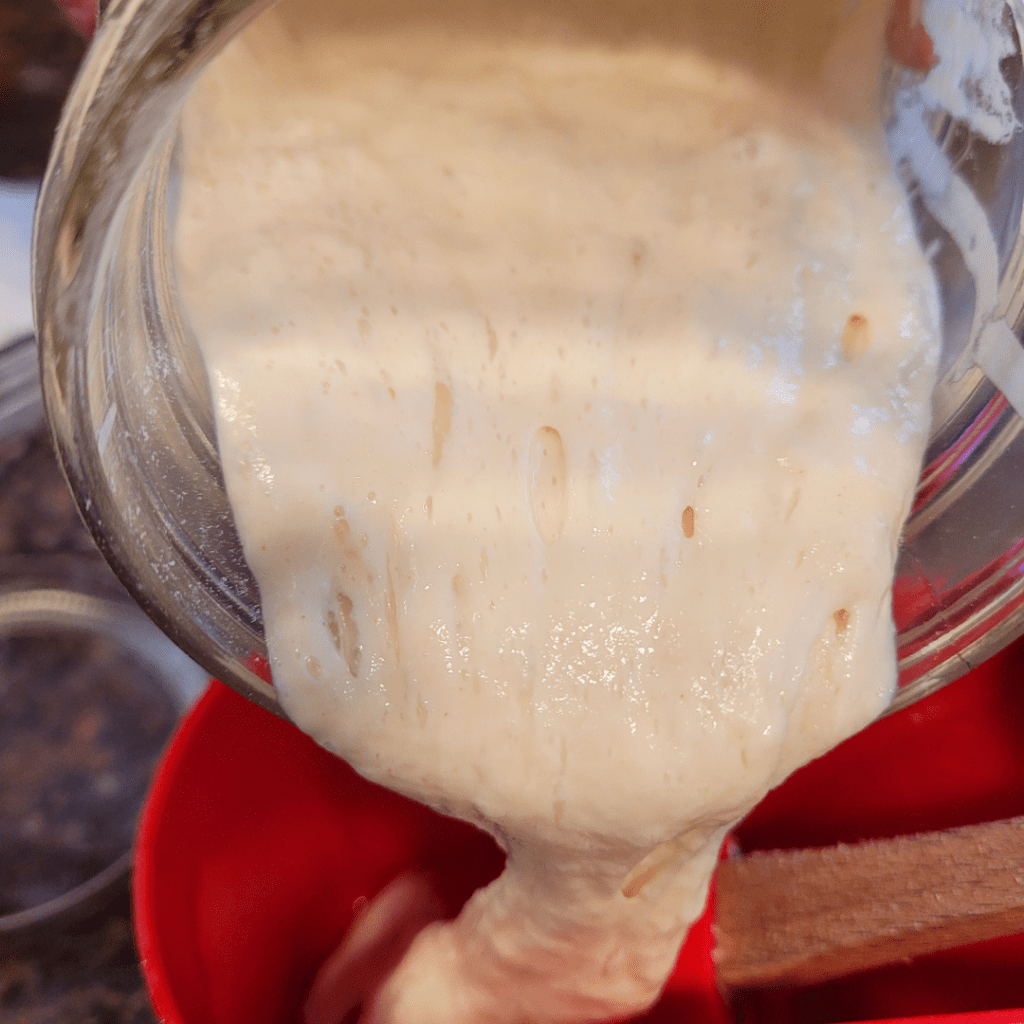Image illustrates a sourdough starter for a recipe on how to make sourdough bagels. 