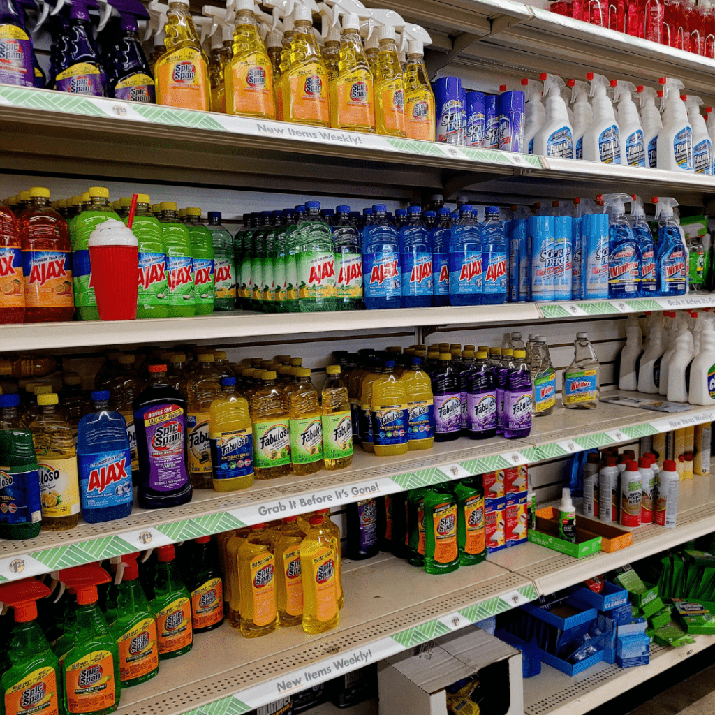 Image illustrates cleaning supplies for Dollar Tree survival items.