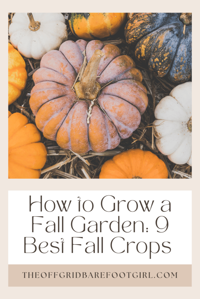 Image illustrates a Pinterest pin for how to grow a fall garden. 