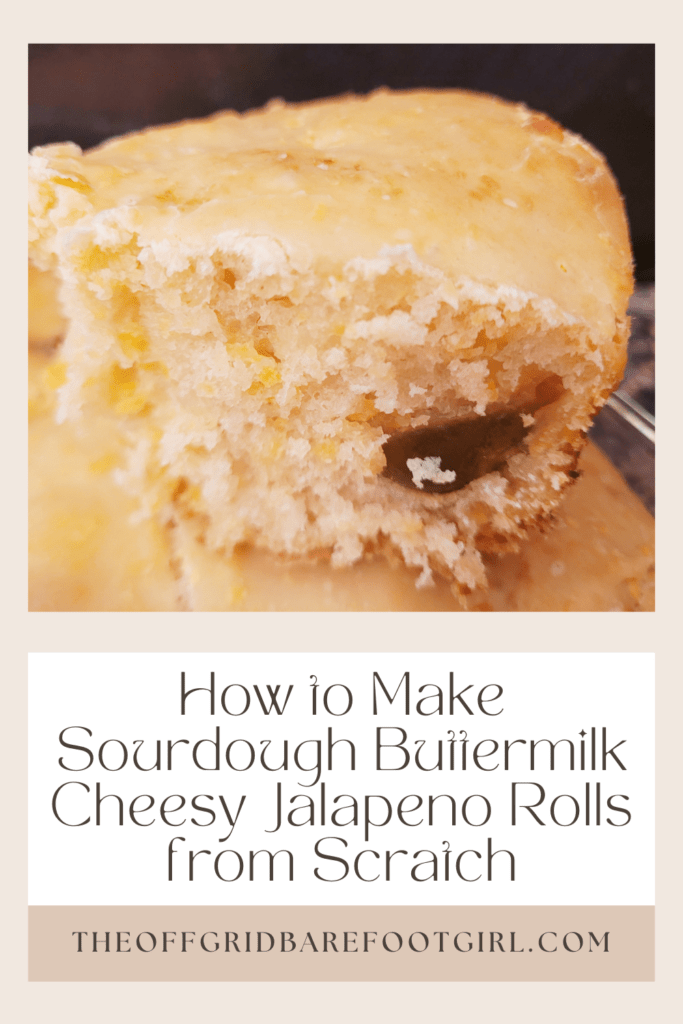 Image illustrates a Pinterest pin for a sourdough buttermilk cheesy jalapeno rolls recipe.