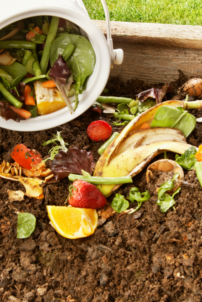 Image illustrates how to do composting for the garden. 