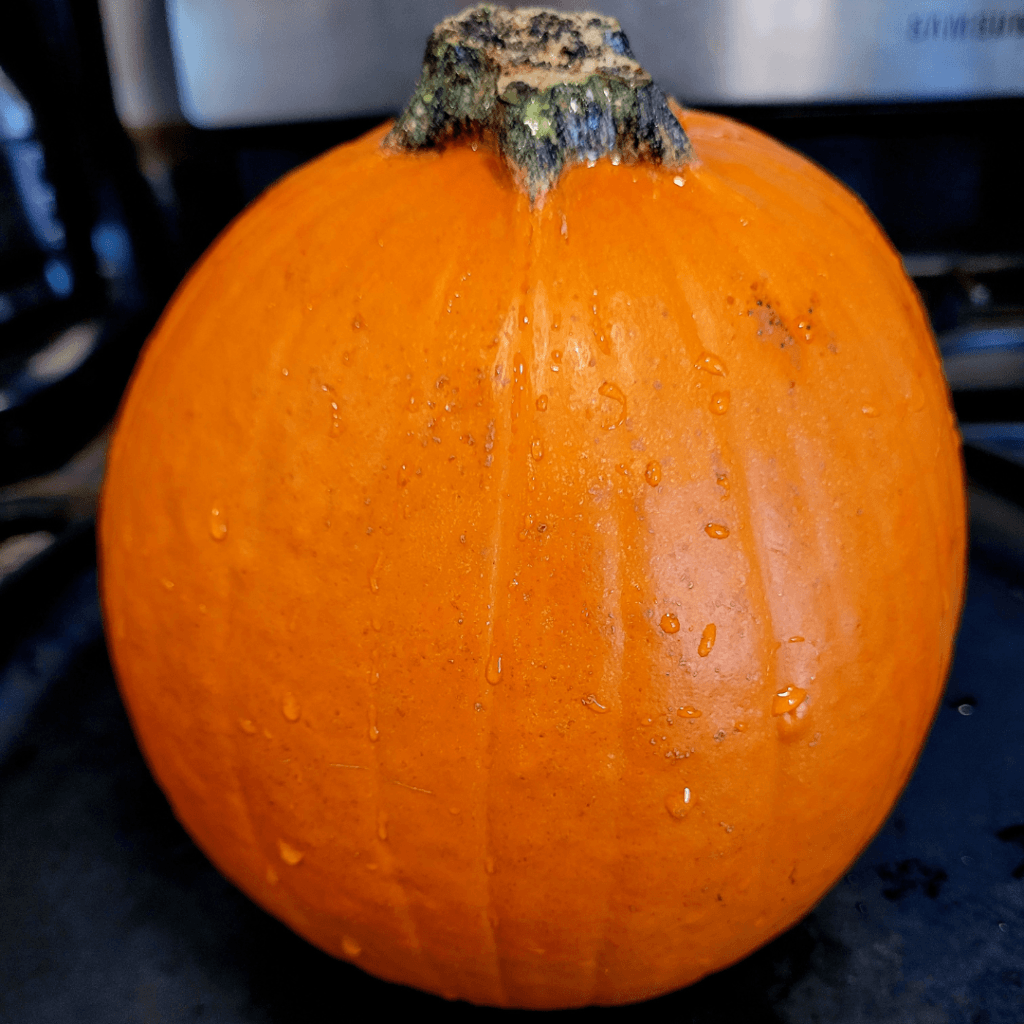 Image illustrates a sugar pumpkin for a pumpkin bread recipe.