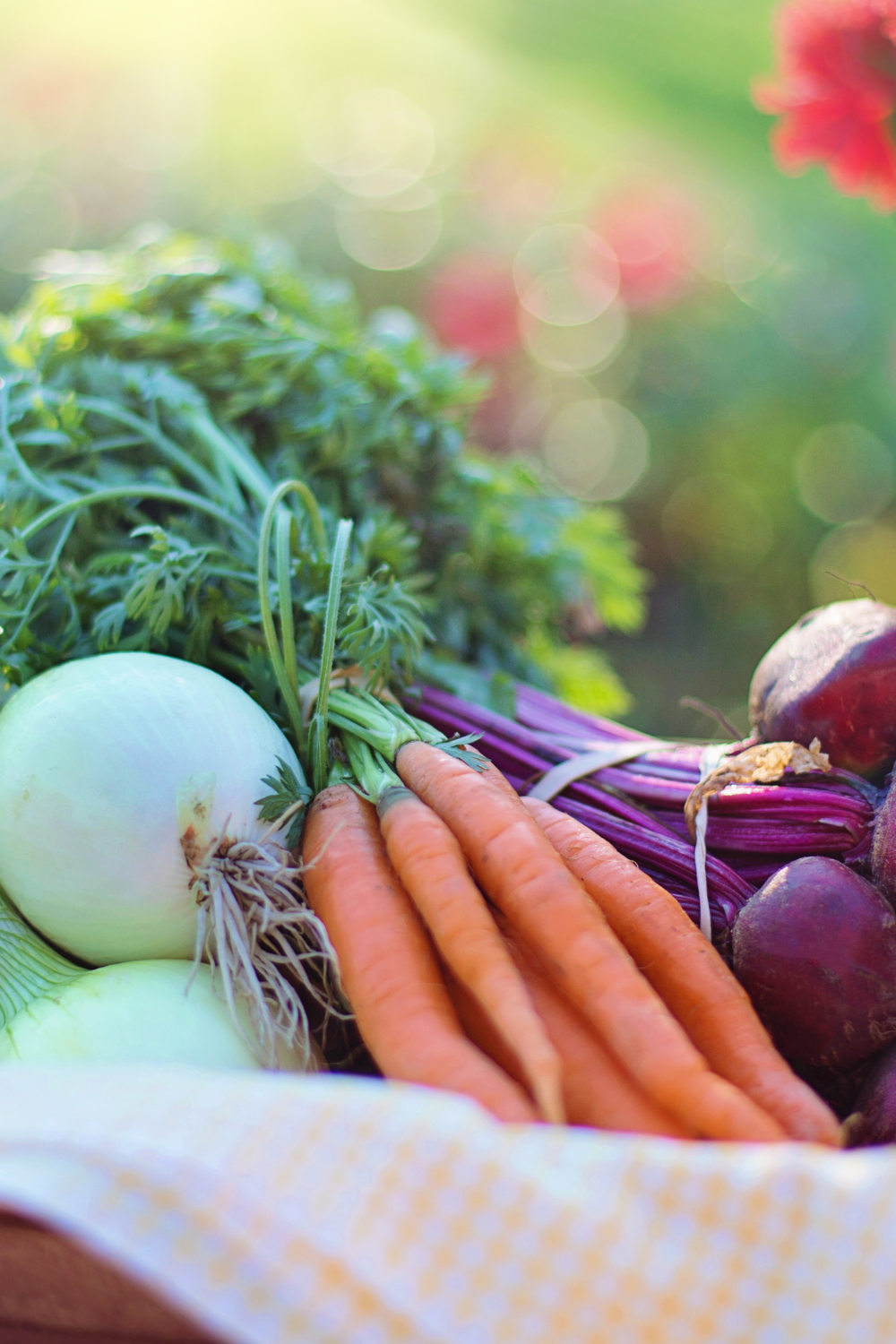 Image illustrates how to grow a fall garden. 