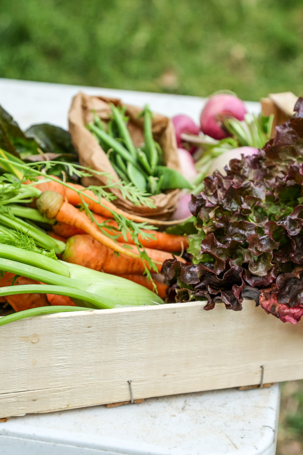 Image illustrates how to grow a fall garden. 