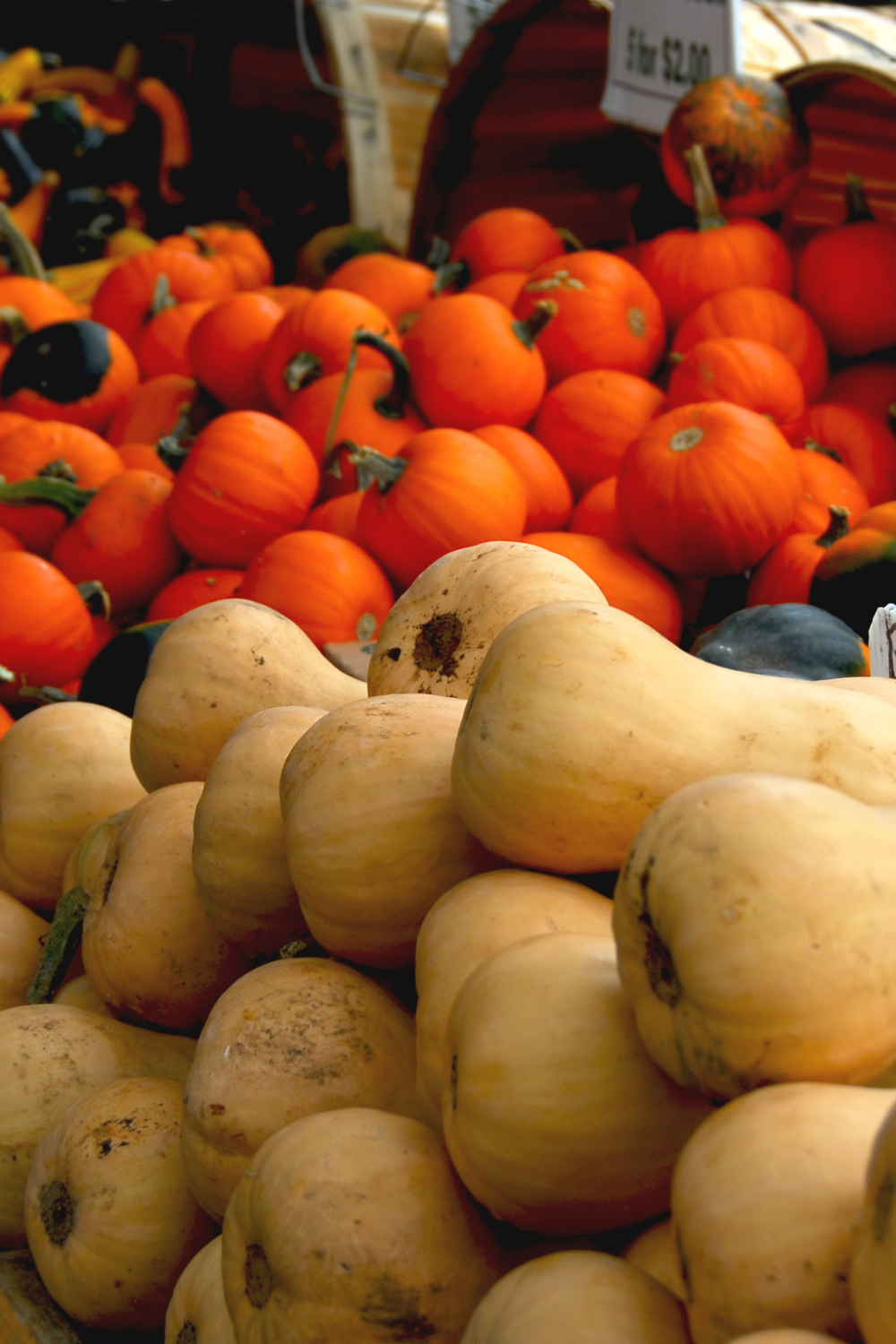 Image illustrates produce for growing a Thanksgiving feast.