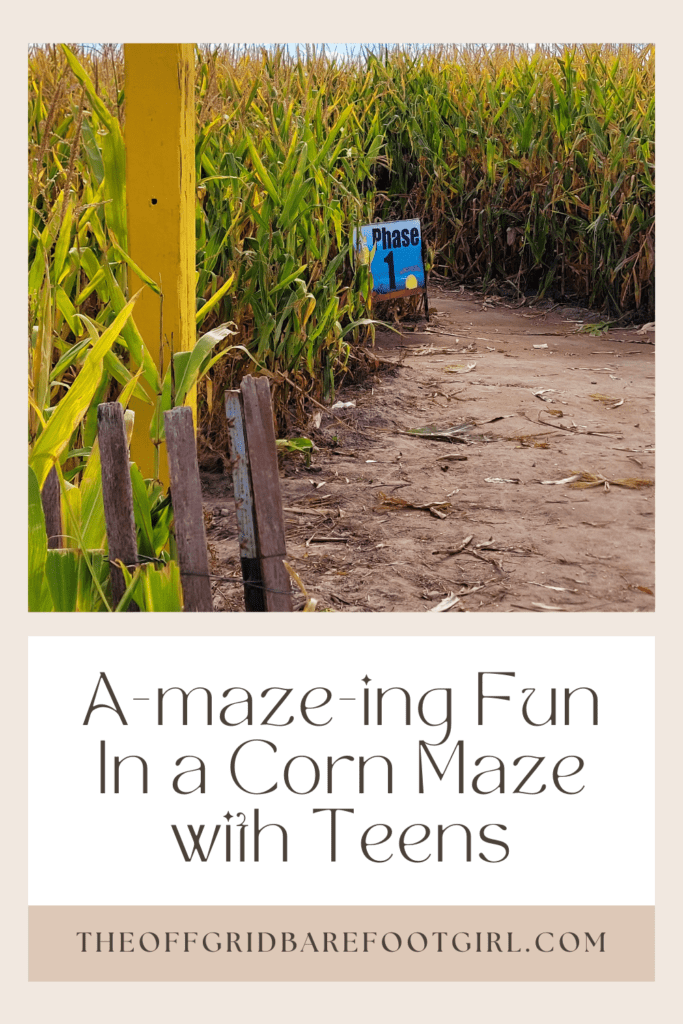 Image illustrates a Pinterest pin of a corn maze demonstrating how to have amazing fun in a corn maze with teens.