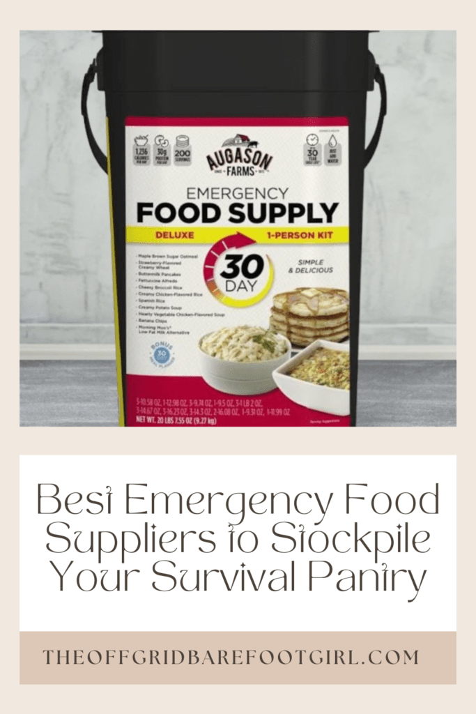 Image illustrates a Pinterest pin of an emergency food bucket demonstrating the best emergency food suppliers. 