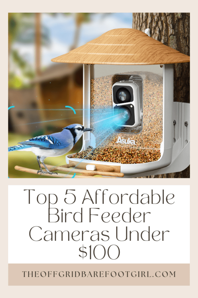 Image illustrates a Pinterest pin of a birdfeeder camera demonstrating information on the best bird feeder cameras under $100.