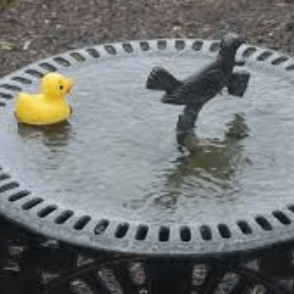 Image illustrates a rubber duck in a bird bath. 